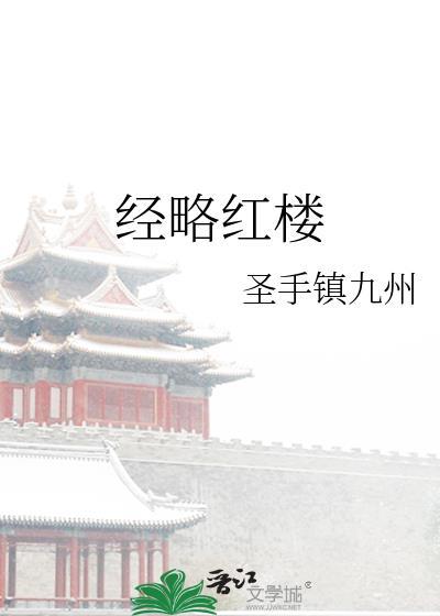 经略红楼全文阅读洪淏