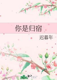 你是我的归宿播放