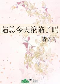 陆总今天破产了吗免费阅读