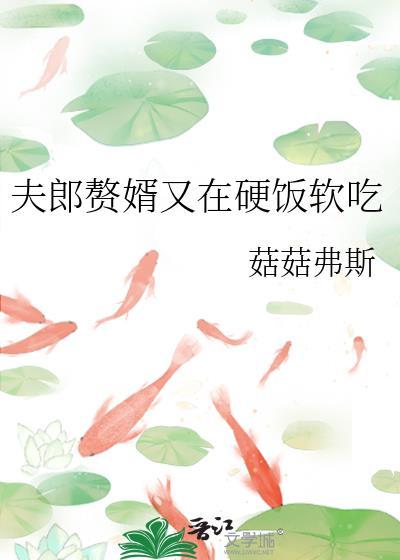 夫郎赘婿又在硬饭软吃by菇菇番外