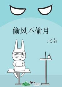 偷风不偷月 车
