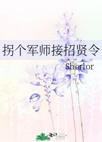 拐个师傅做夫君