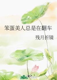 笨蛋美人总是在翻车笔趣阁