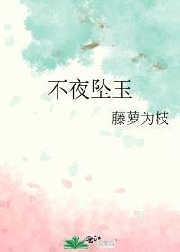 不夜坠玉简介