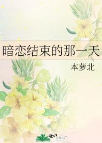 暗恋结束的那一天本萝北