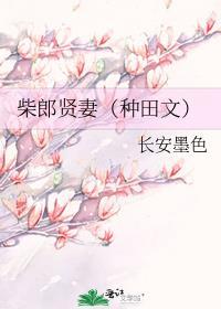 柴郎贤妻(种田文)长安墨色