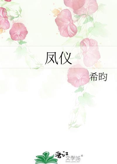 凤仪路属于哪个街道