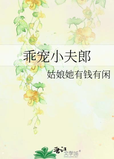 乖宠小夫郎免费阅读