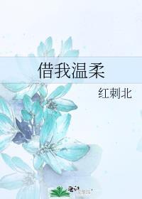 借我温柔原名