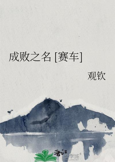 成败之名赛车最新章节更新时间