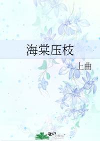海棠压枝txt