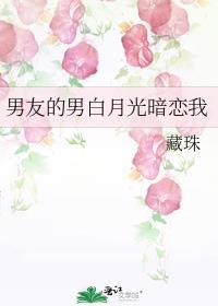 男友的男白月光暗恋我藏珠番外
