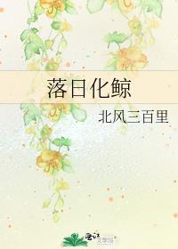 落日化鲸讲的是什么