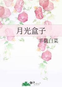 月光盒子半截白菜晋江