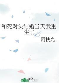 和死对头结婚当天我重生了TXT
