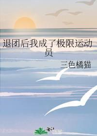 退团后我成了一线