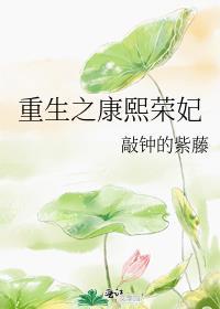 重生之康熙荣妃完结无防盗版