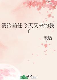 前任今天凉了没书评