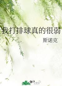 我今天打排球