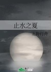 止水者之书