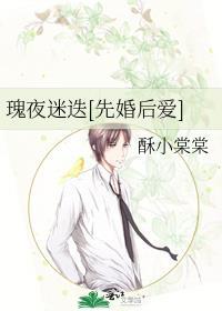 瑰夜迷迭先婚后爱免费阅读