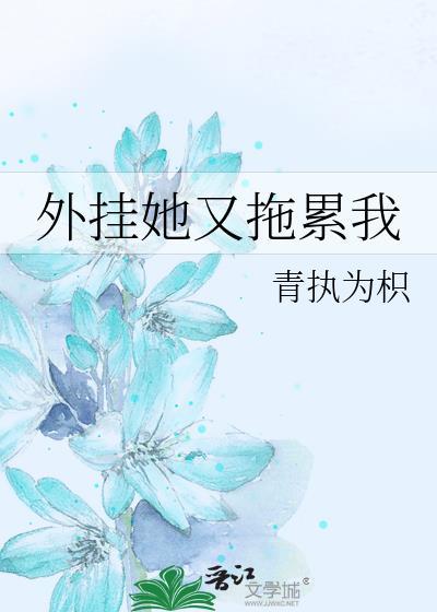 我把外挂都修好了