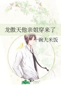 龙傲天他亲姐穿来了全文免费阅读