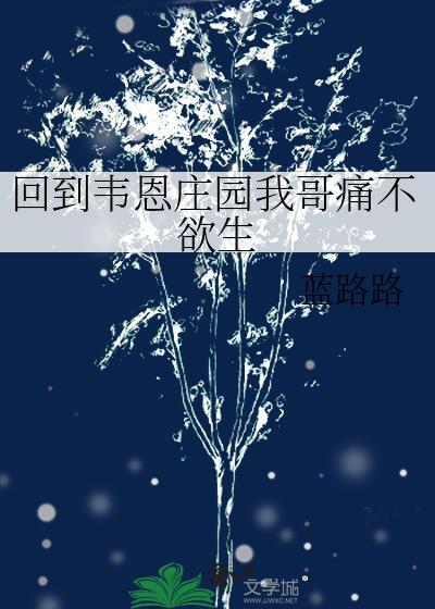 回到韦恩庄园我哥痛不欲生原著简介
