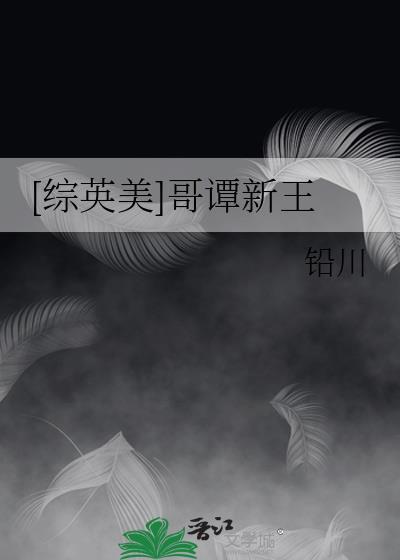 综英美哥谭新王txt