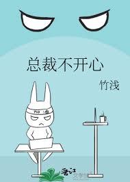 总裁不开心晋江