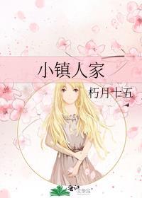 小镇人家 电视剧