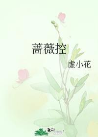 蔷薇控股股份有限公司官网