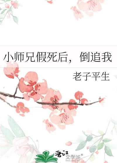 小师兄游戏