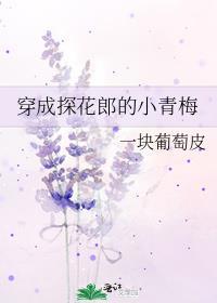 穿越之探花郎