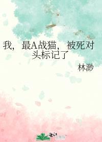 被死对头标记了 (林渺) 番外