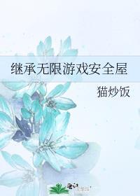 继承人游戏