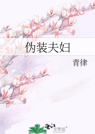 伪装夫妇在哪看