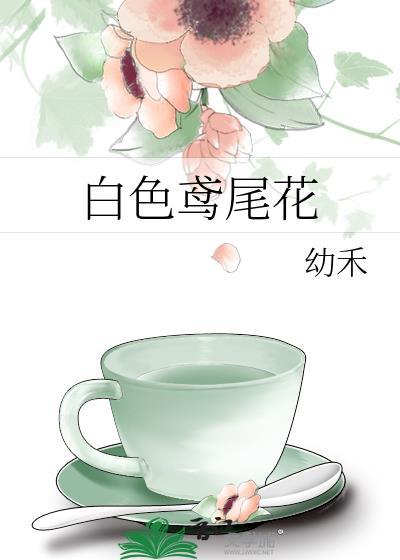 白色的鸢尾花图片