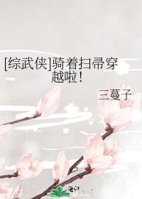 骑着扫帚去火星