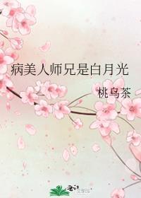 病美人师兄是白月光沈江山