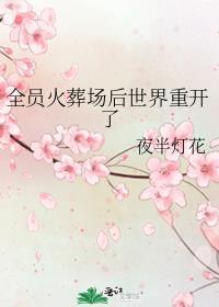 全员火葬场后世界重开了 夜半灯花