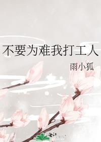 清穿之康熙家的小宠妃百度