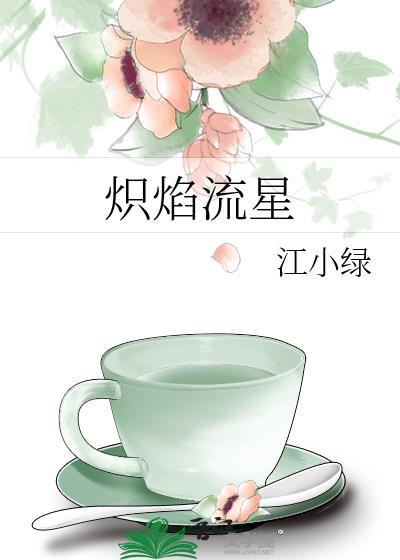 炽焰流星txt百度