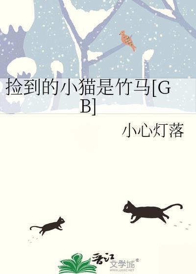 捡到小猫好吗