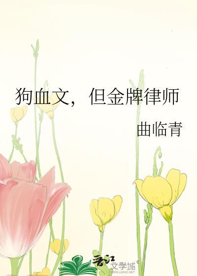 但金牌律师全文免费阅读