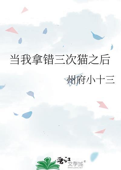 当我拿错三次猫之后晋江
