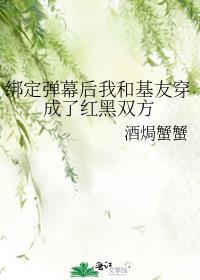 绑定弹幕后我和基友穿成了红黑双方无删减