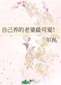 自己养的老婆最可爱全文免费阅读