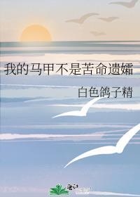 我的马甲不是苦命遗孀!