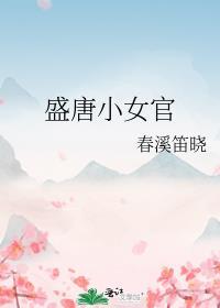 盛唐小女官男主是谁
